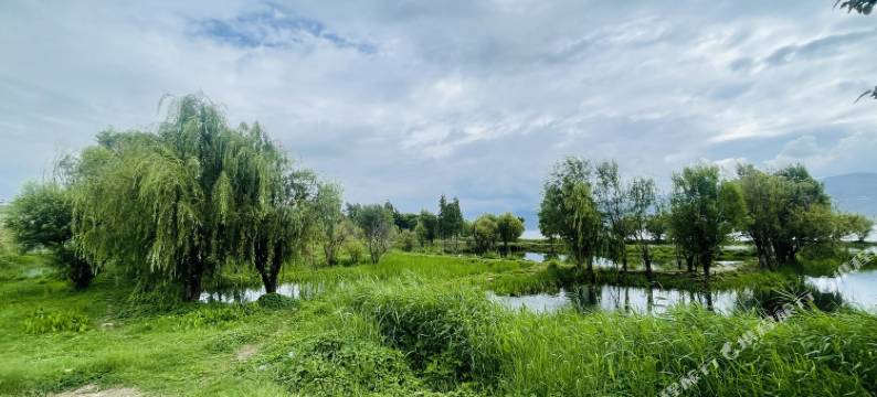 吟风夜夏民宿(洱海才村店)图片