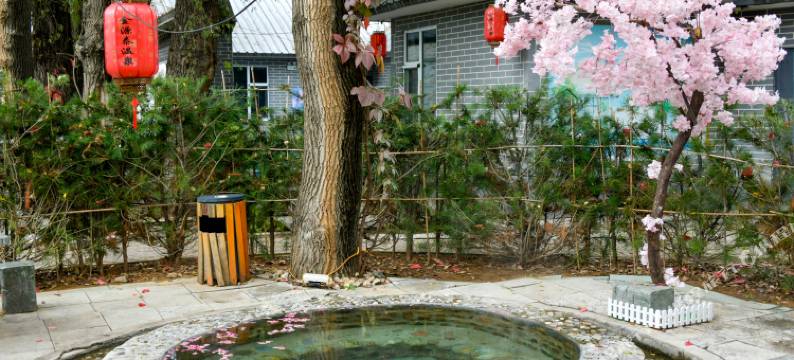 金源泰温泉民宿图片