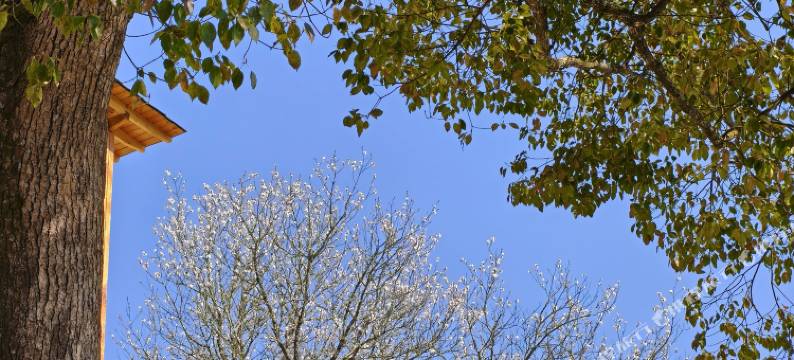 天台栖云民宿图片