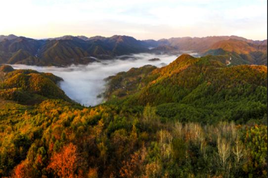 Jinjiang Inn Select (Bazhong Rongbang International  Wanda Plaza) Hotel Overview