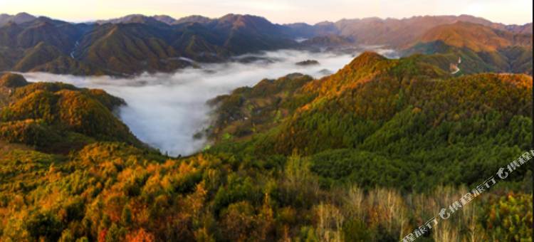 锦江之星品尚(巴中广福街店)图片