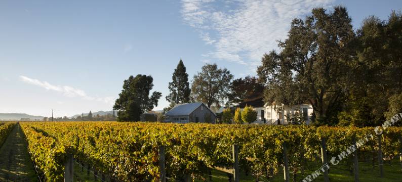 兰彻卡姆斯旅馆(Rancho Caymus Inn)图片