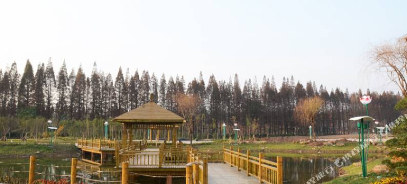 如皋金岛生态园酒店图片