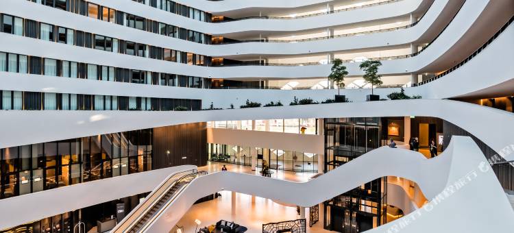 阿姆斯特丹史基浦机场希尔顿酒店(Hilton Amsterdam Airport Schiphol)图片