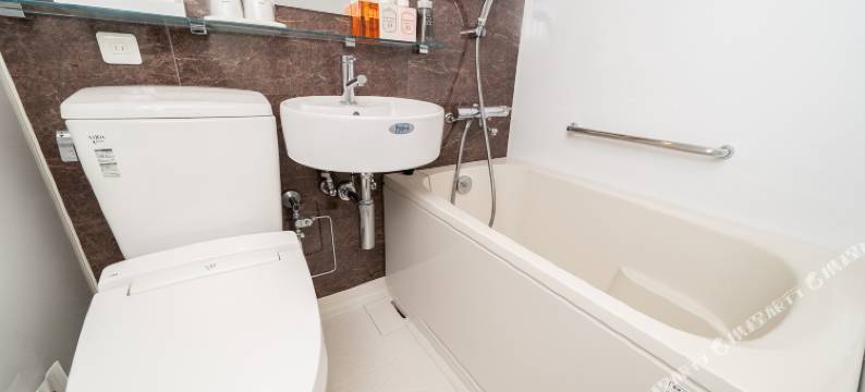 新宿新丽酒店(Hotel Sunlite Shinjuku)图片