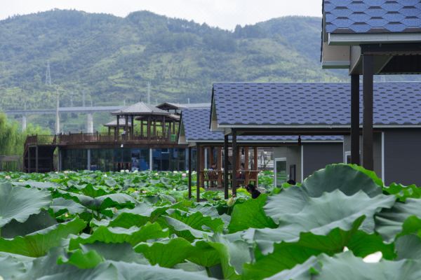 石泉荷塘月色民宿