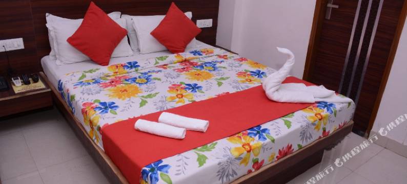 提卡纳宫酒店(Hotel Thikana Palace)图片