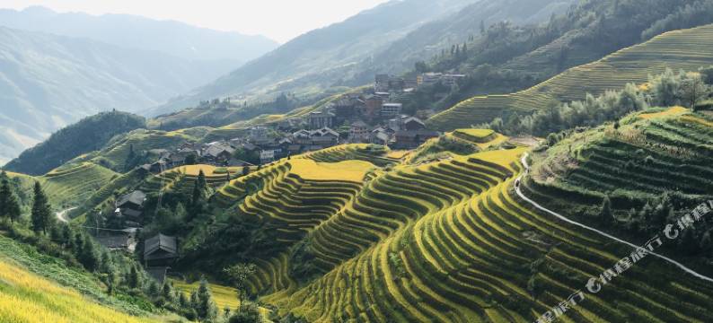 紫藤客栈(阳朔西街店)图片