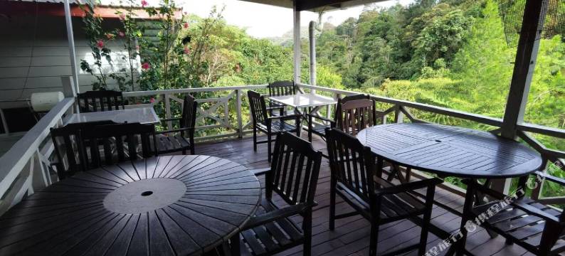 凯撒广场酒店(Ceaser's Place)图片