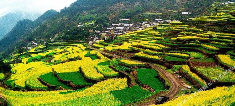 杭州千岛湖皇冠假日酒店图片