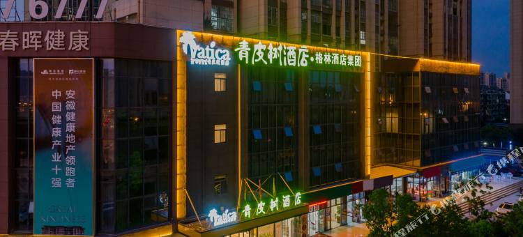 青皮树酒店(合肥瑶海区新安江路龙岗地铁站店)图片