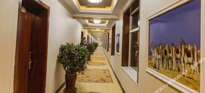 玛多天河酒店图片