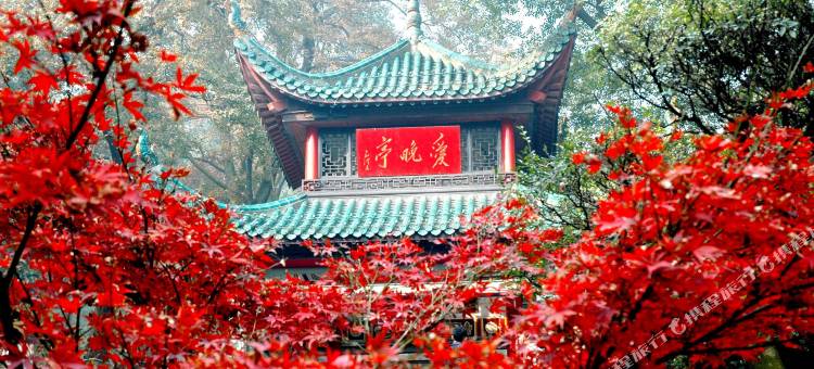 TOWO上品酒店(德思勤广场省政府店)图片