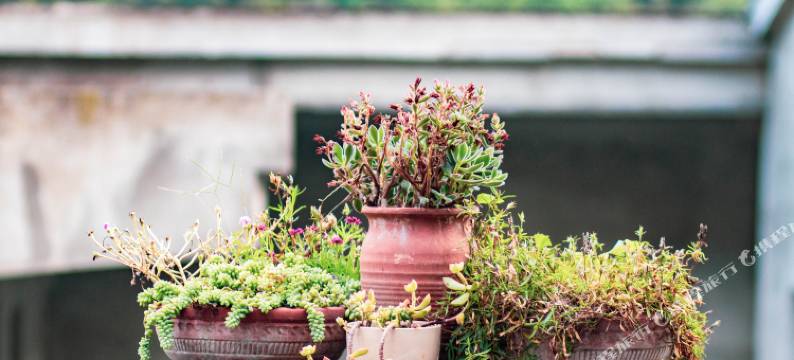 悦里·见山云栖(重渡沟演艺广场店)图片