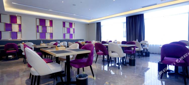 麗枫酒店(鲁山五洲国际商贸城店)图片