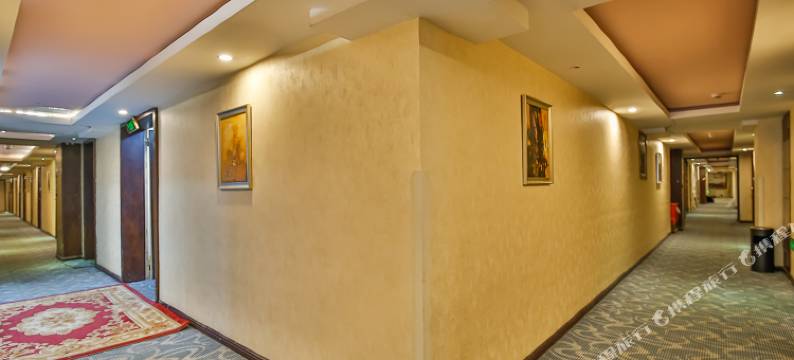 成都子龙阁商务酒店图片