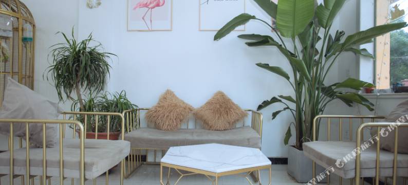 濮阳盛源宾馆图片