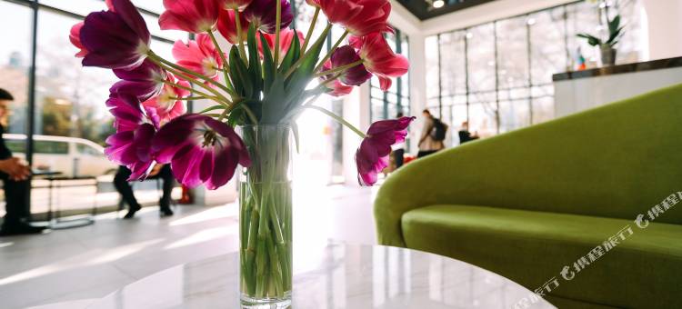 万好·日升花园酒店(埃米帖木儿广场华人酒店)(Sunrise Hotel)图片