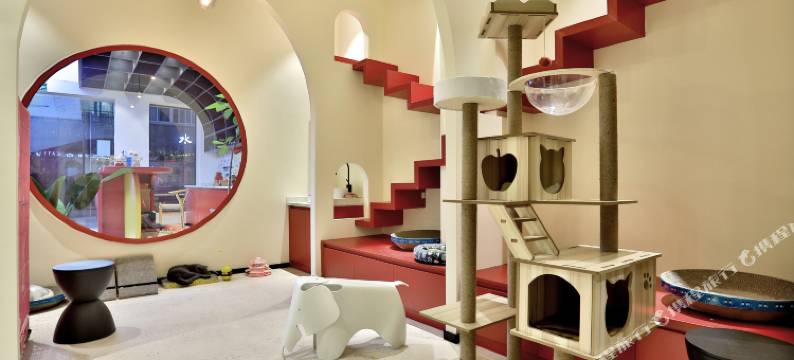 乌镇西栅猫舍CATTY SPACE民宿图片