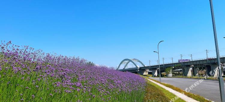 湖之屿民宿图片