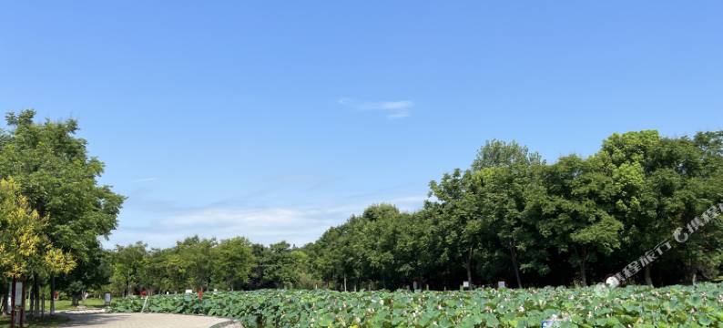 御庭精品酒店(荆州御河广场店)图片