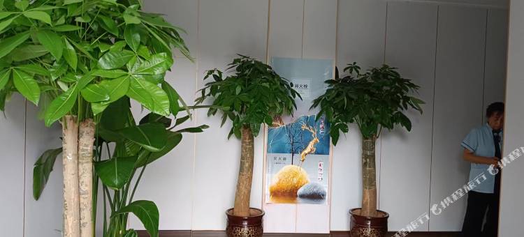 银伦宾馆(大同古城店)图片