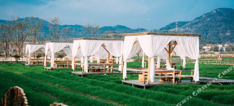 黄梅袁夫稻田villa|设计师HarvestCoffee民宿图片