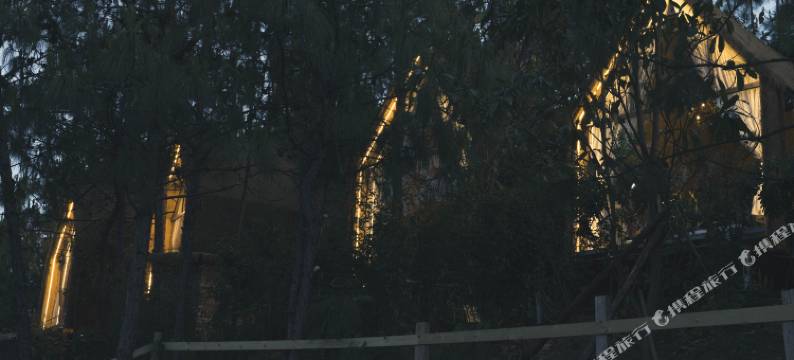 深落·小森林自然营地图片