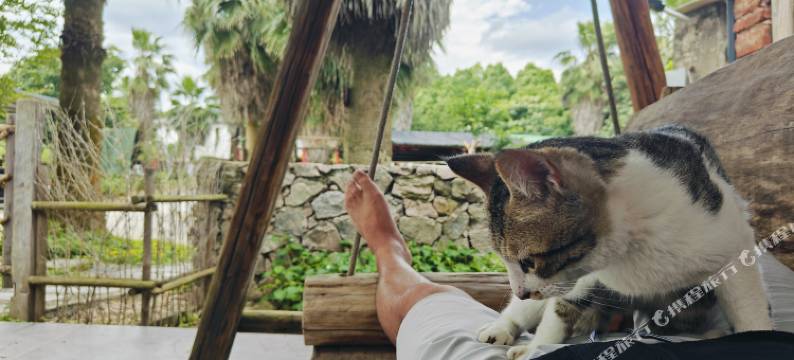 连城源宿山居民宿图片