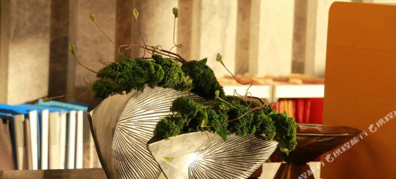 兰陵艾薇拉酒店(县政府华瑞生活广场店)图片