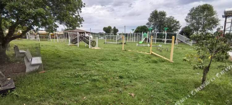 禅农谷民宿(惠州平潭机场金原店)图片