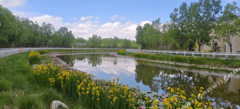 武威重离子康养民宿图片