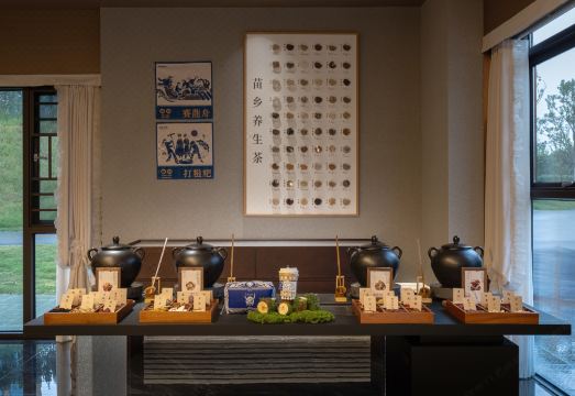 Miso Qingmiao Hot Spring Retreat Hotel Overview