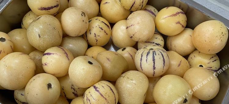 格林豪泰(文安利民街二中店)图片