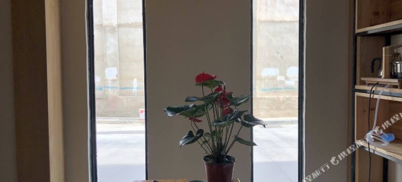 拉萨归・来精品观景民宿(布达拉宫店)图片