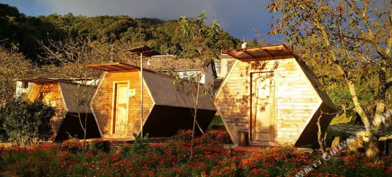 蜂巢驿站(南涧樱花谷店)图片