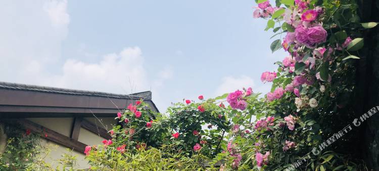峨眉山观景温泉汤屋图片