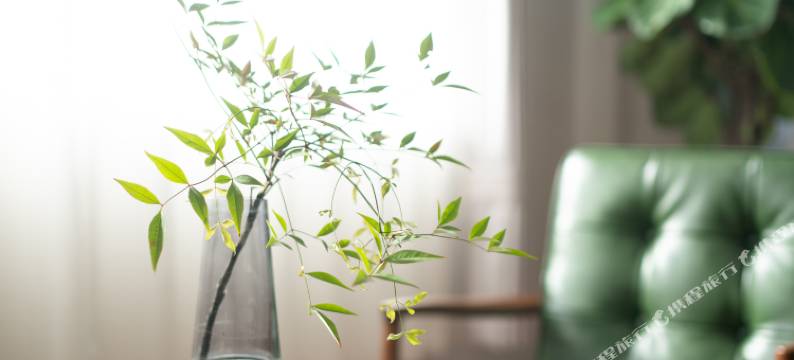 山林悦民宿(南京银杏湖店)图片