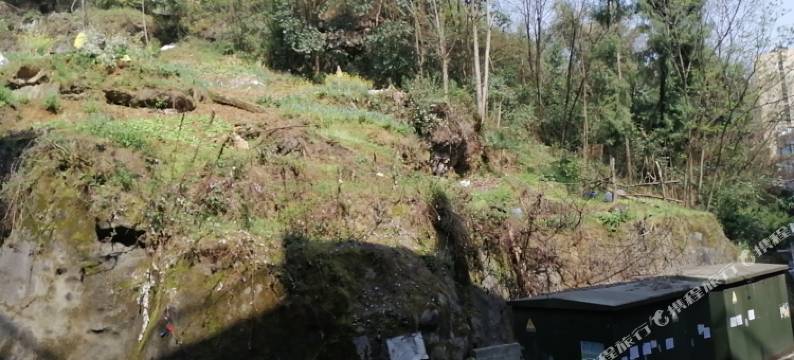 正安365宾馆(珍州东路分店)图片