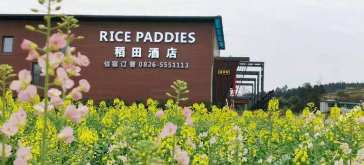 岳池稻田民宿图片