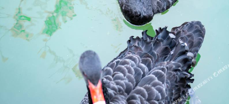 南宁五象山庄图片