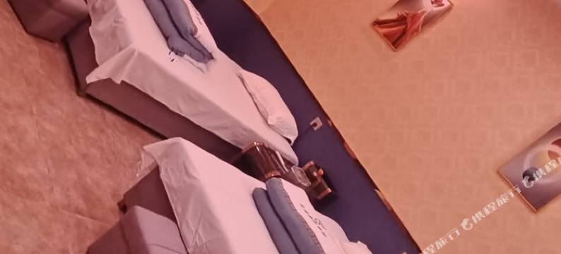 遵义塞纳宾馆(尚嵇政府店)图片