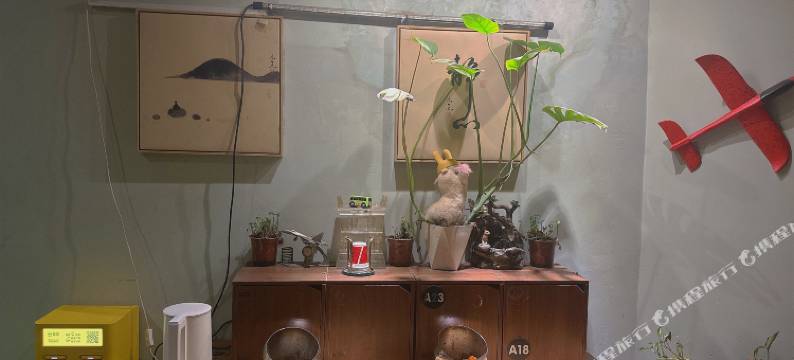 米老鼠青年驿站(鼓楼店)图片