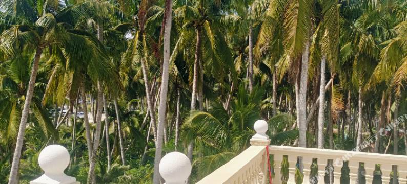 文昌东郊椰林驿站图片