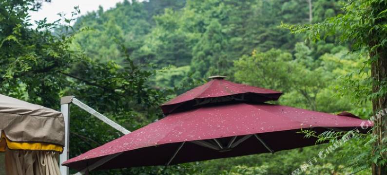 庐山聆山别墅图片