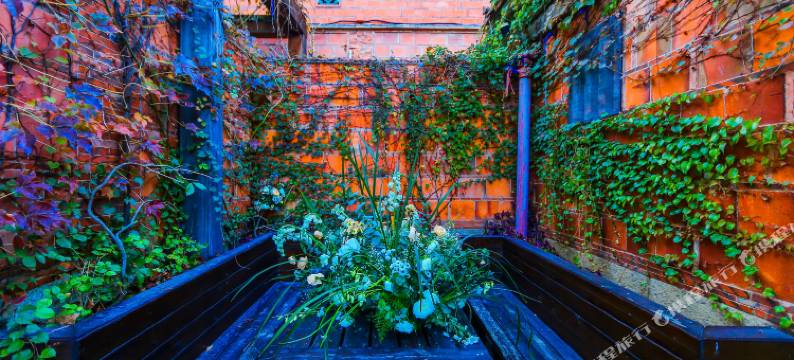 五店市喜园相遇客栈(泉州晋江国际机场店)图片