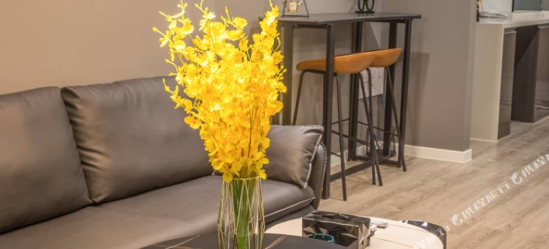 泊客loft公寓(无锡东站店)图片