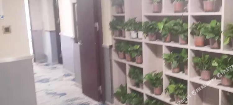 遵义天华佳宇酒店图片