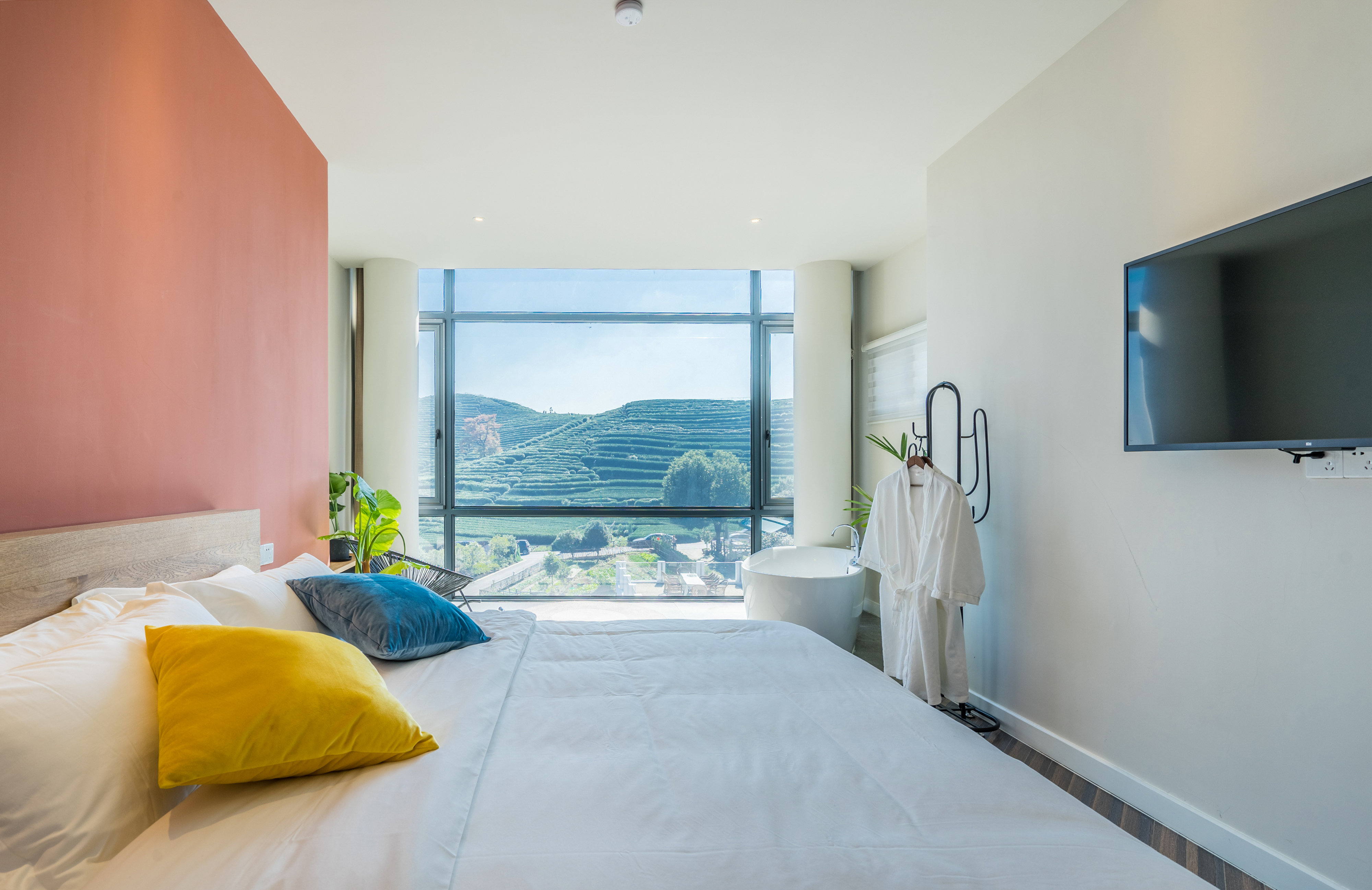 Meet B & B Over view