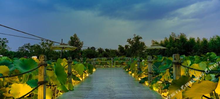 蒲江竹里拾家民宿图片